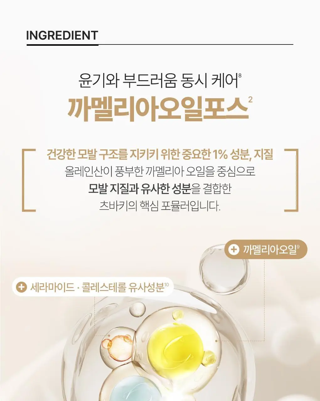 [뿌리볼륨&영양케어] 츠바키 프리미엄 볼륨 & 리페어 트리트먼트 160g 상세페이지 15